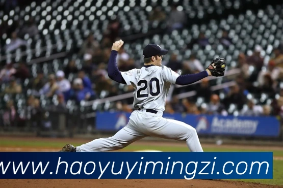 九游app官网入口平台生态图