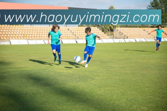 九游app官网入口APP 封面图